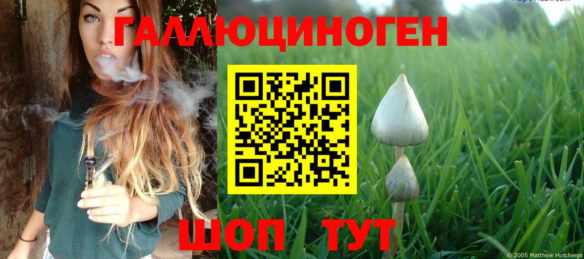 хочу наркоту  Галлюциногенные грибы GOLDEN TEACHER  Вход с VPN  Гагарин 